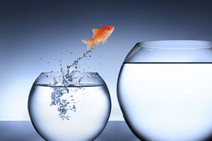 My Path from Civil Engineering to Software Development